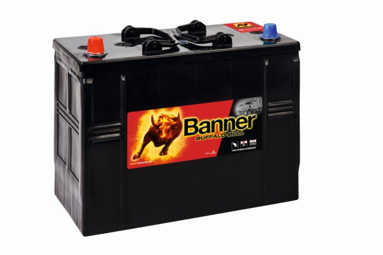 BUFFALO BULL 125AH 760A 345X172X260 +ESQ