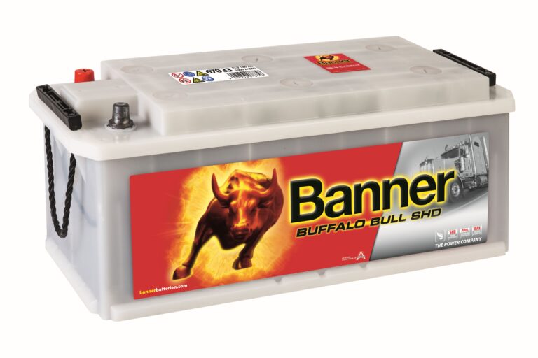 BUFFALO BULL SHD 170AH 1000A 514X218X210 +ESQ