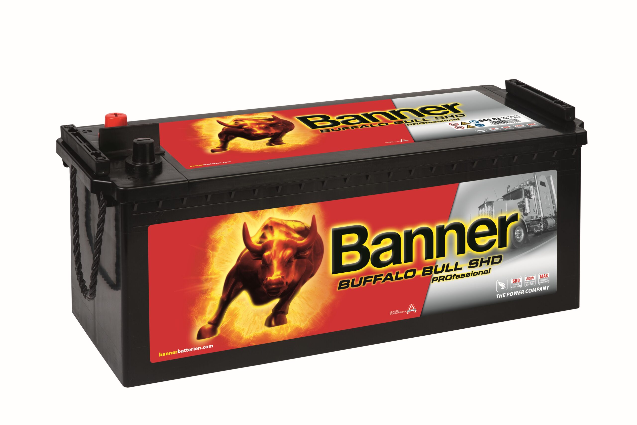 BUFFALO BULL SHD PRO 145AH 800A 514X189X220 +ESQ