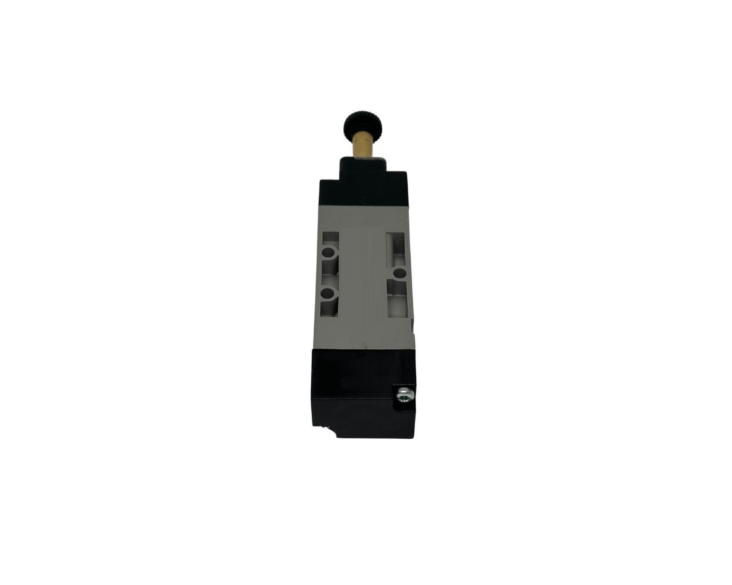 ELECTROVÁLVULA PORTA 24V